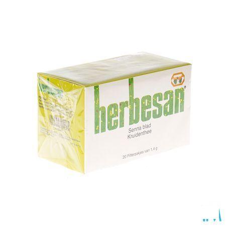 Herbesan Thee Zakje 20