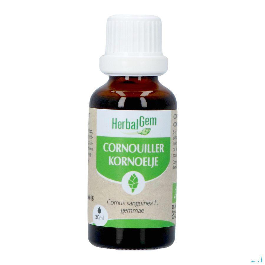 Herbalgem Cornouill Bio 30 ml
