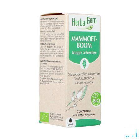 Herbalgem Mammoetboom Bio 30 ml