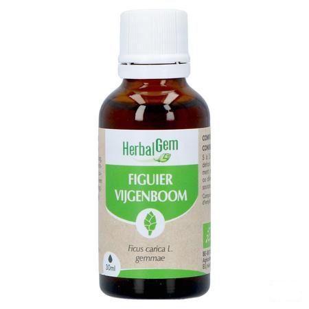Herbalgem Figuier Bio 30 ml