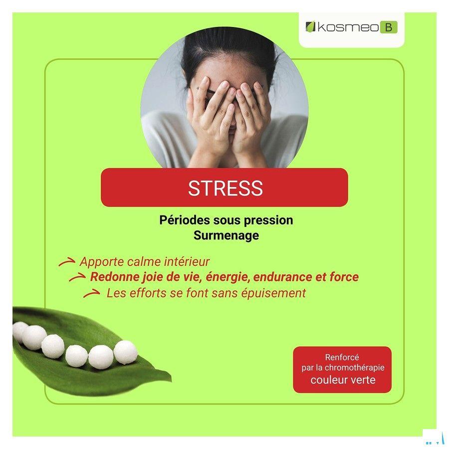 Eumadis Stress Tube 6,3g  -  Distribio
