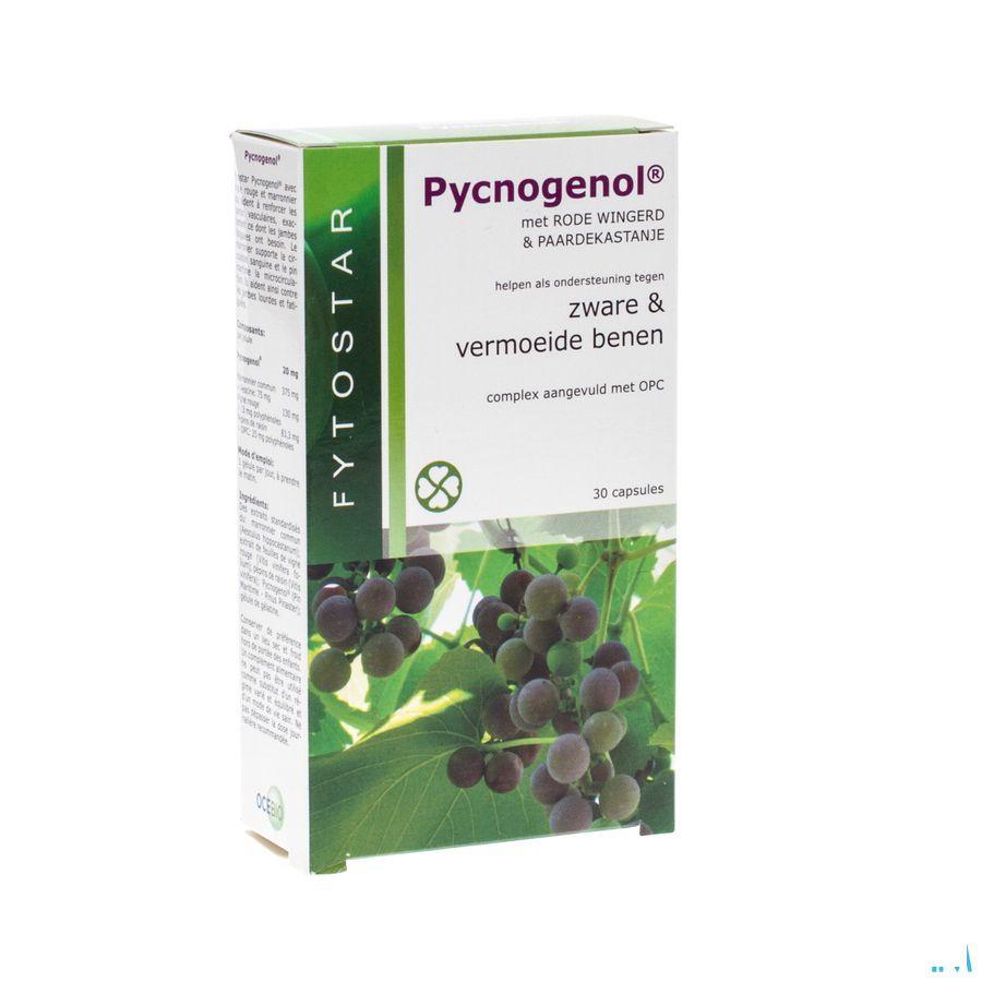 Fytostar Pycnogenol Capsule 30 7587  -  Ocebio