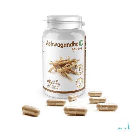Soria Ashwagandha Ct 400 mg - 60 Capsule  -  Soria Bel