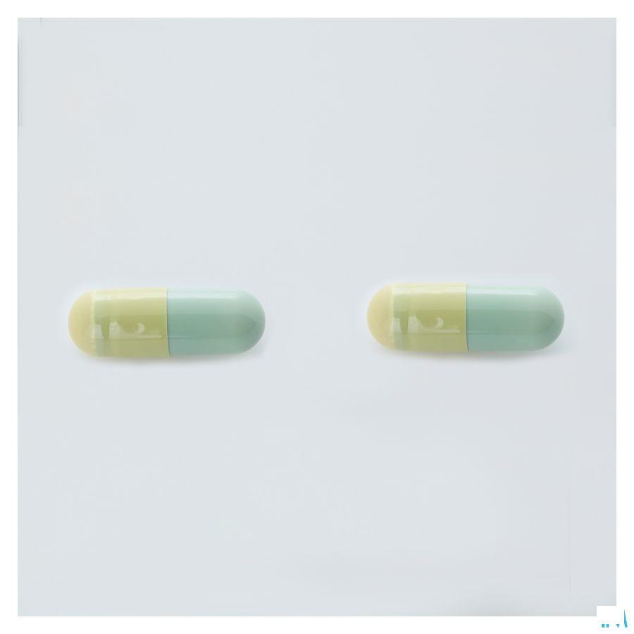 Sacchiflora 250 mg Capsule Dur 10 Blister