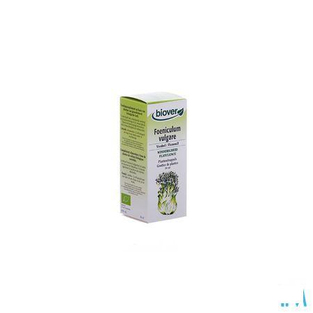 Venkel Teinture Bio 50 ml   -  Ocebio