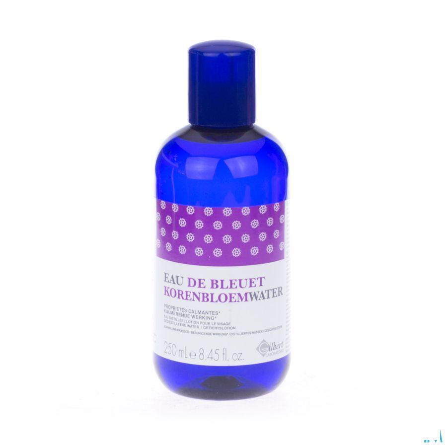 Gilbert Bleuetwater Gedistil. 250 ml