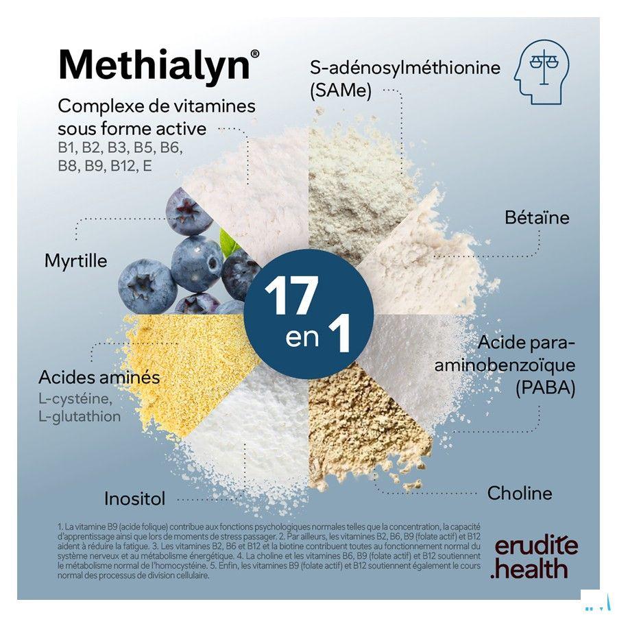 Methialyn Comprimes 4x15  -  Nutriphyt