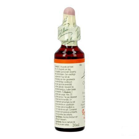 Bach Flower Remedie 06 Cherry Plum 20 ml