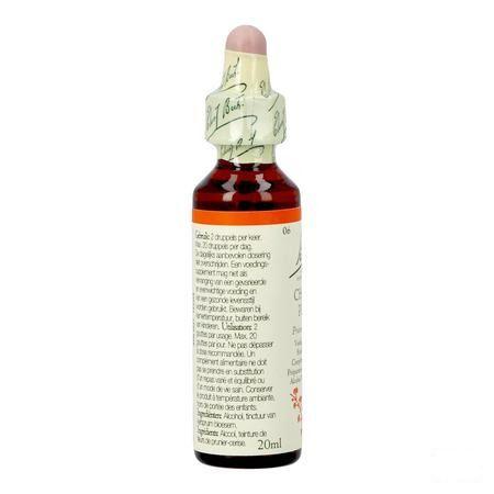 Bach Flower Remedie 06 Cherry Plum 20 ml