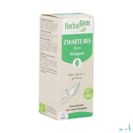 Herbalgem Zwarte Bes Bio Spray 15 ml