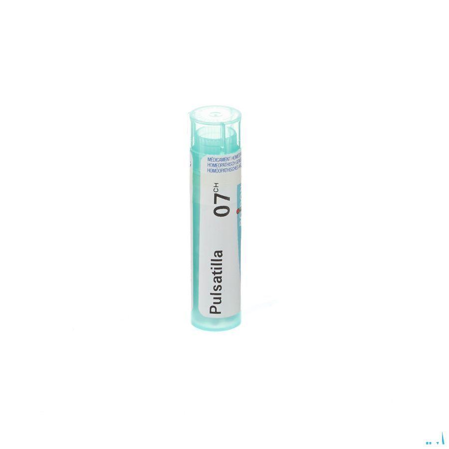 Pulsatilla 7CH Gr 4g  -  Boiron