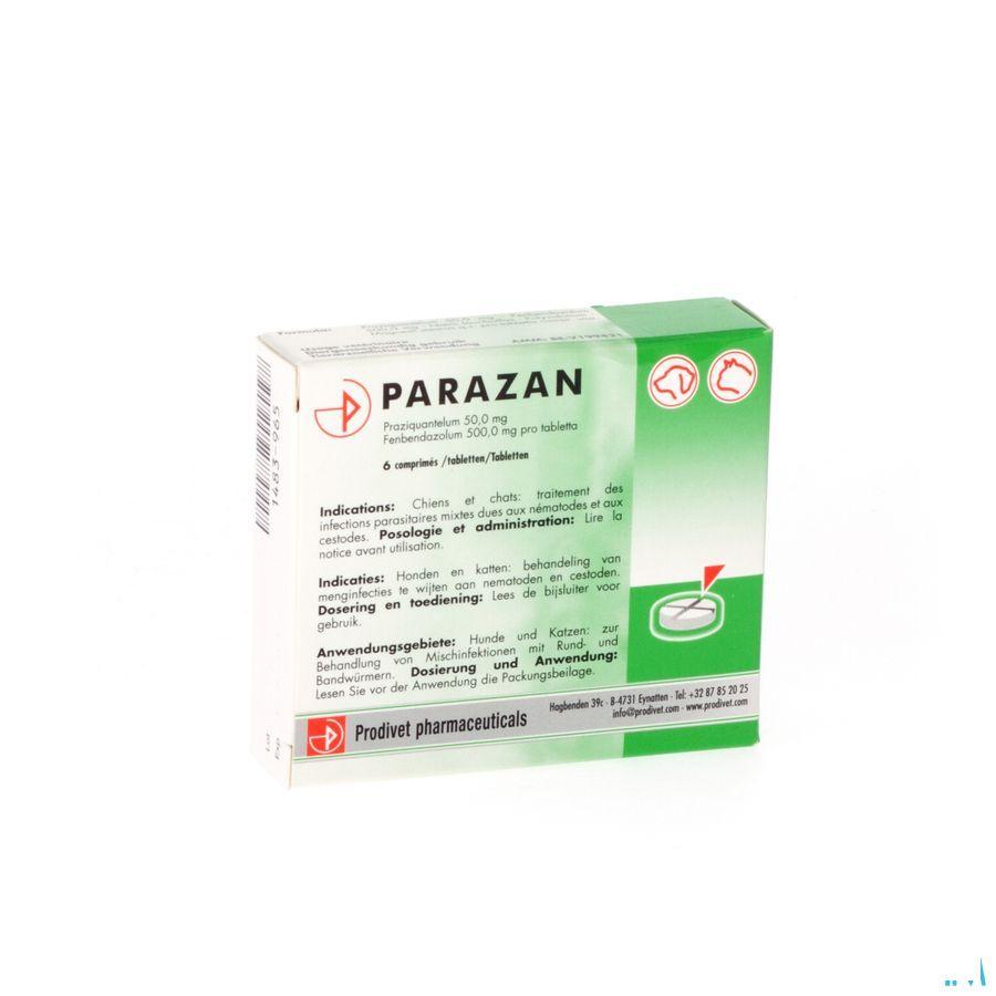 Parazan Tabletten 6