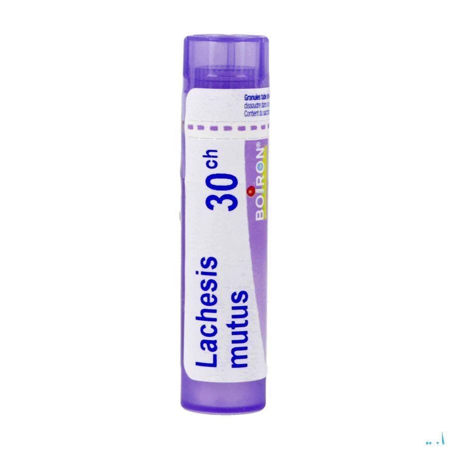 Lachesis Mutus 30CH Gr 4g  -  Boiron
