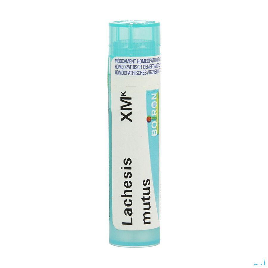 Lachesis Mutus XMK Gr 4g  -  Boiron