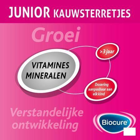 Biocure Junior Kauwsterretjes 60