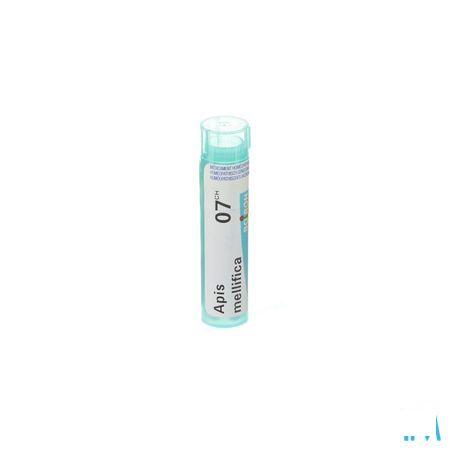 Apis Mellifica 7CH Gr 4g  -  Boiron