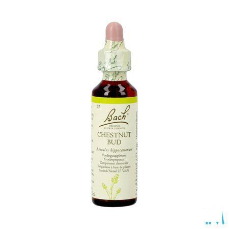 Bach Flower Remedie 07 Chestnut Bud 20 ml