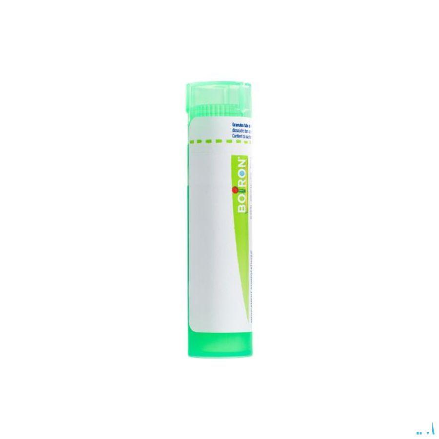 Chamomilla Vulgaris 5CH Gr 4g  -  Boiron