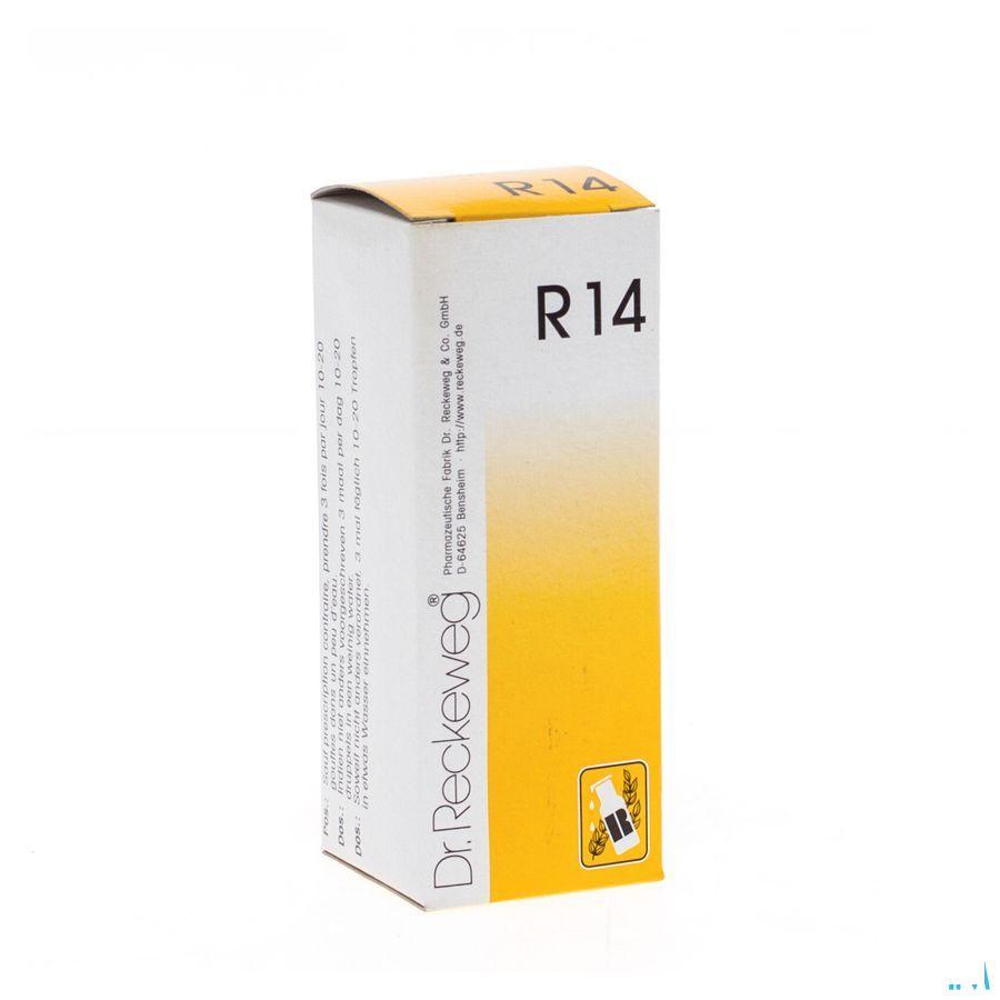 Reckeweg Dr. R14 Druppels 50 ml  -  Nut-Hom-Phyt
