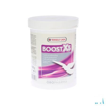 Boost X5 Poeder 500 gr
