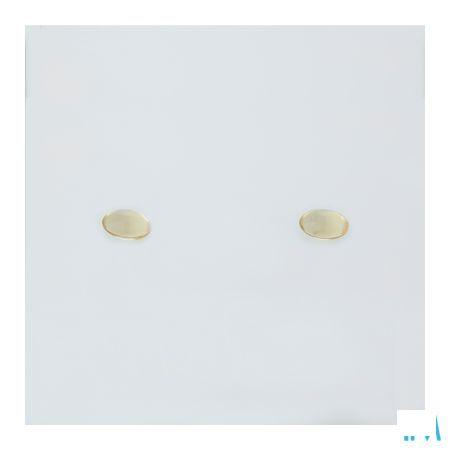 Bio-c.l.a. Capsule 90  -  Pharma Nord