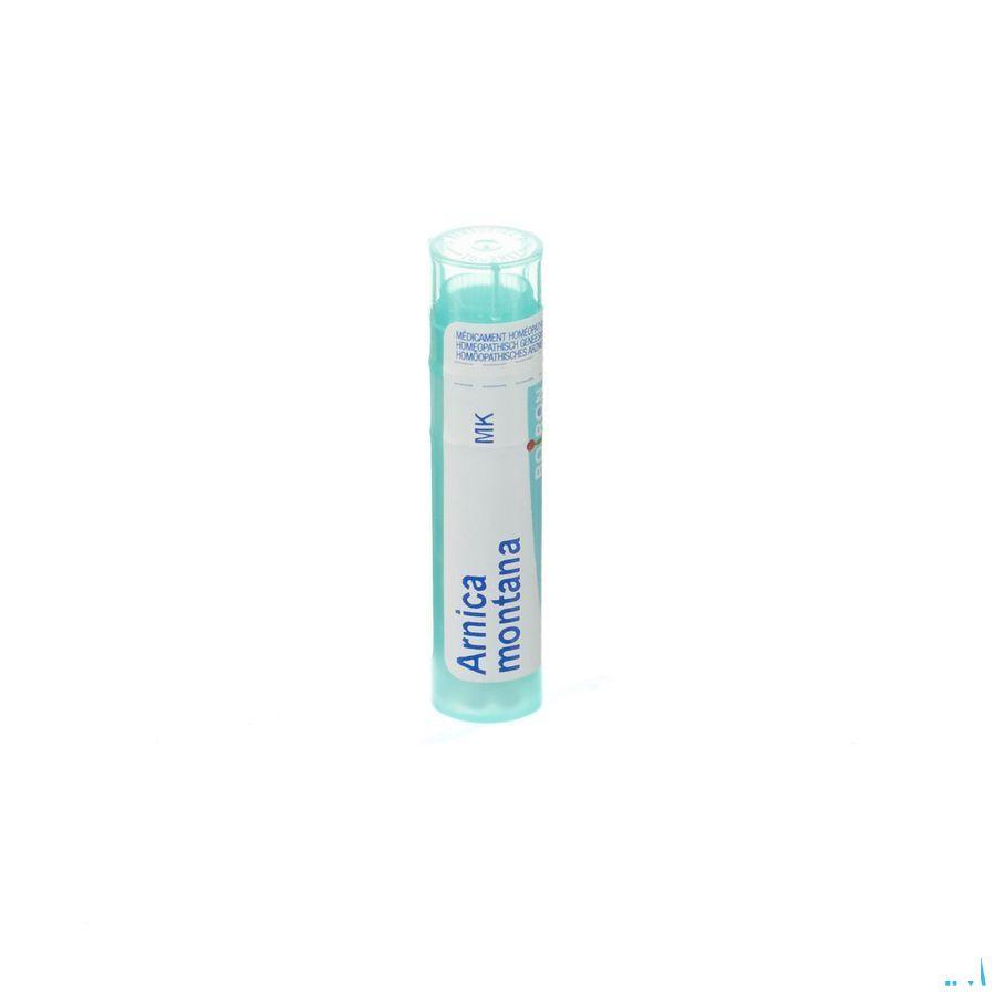 Arnica Montana MK Gr 4g  -  Boiron