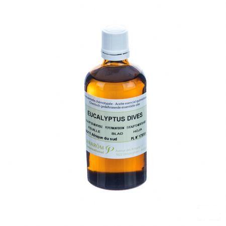 Eucalyptus Menthol Essentiele Olie 100 ml  -  Pranarom