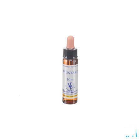 Healing Herbs Mustard 10 ml