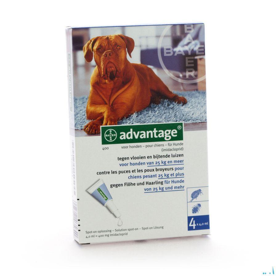 Advantage 400 Chiens 25