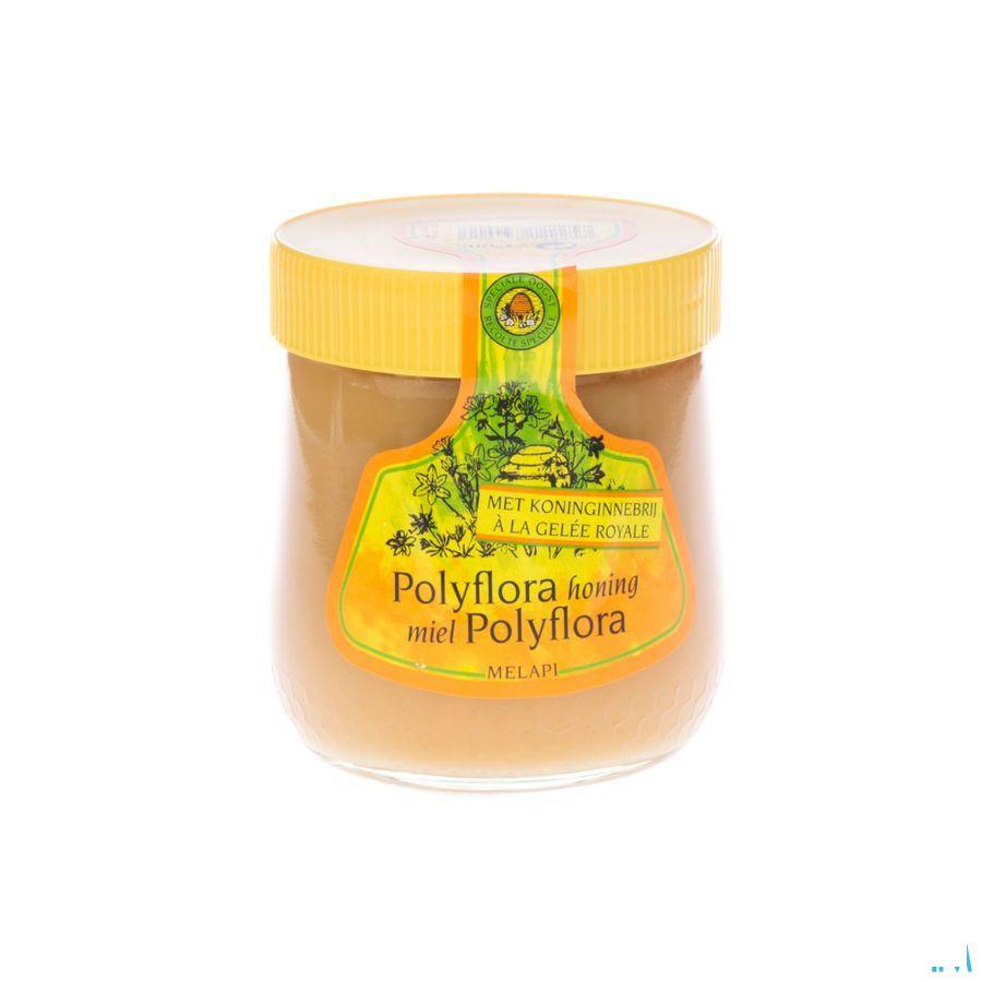 Melapi Polyflora + koninginnebrij 500 gr 5534  -  Revogan