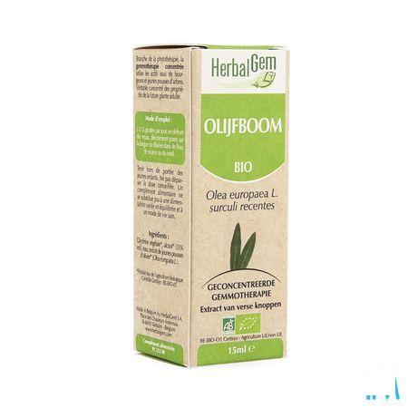 Herbalgem Olijfboom Maceraat 15 ml  -  Herbalgem