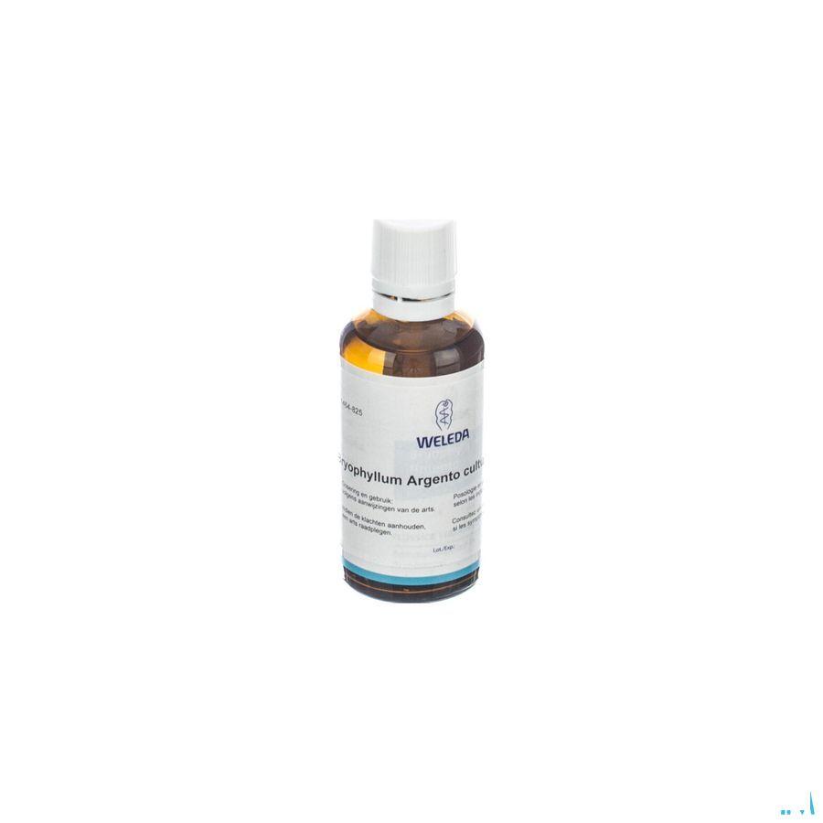 Bryophyllum Ag D2 Gutt 50 ml  -  Weleda
