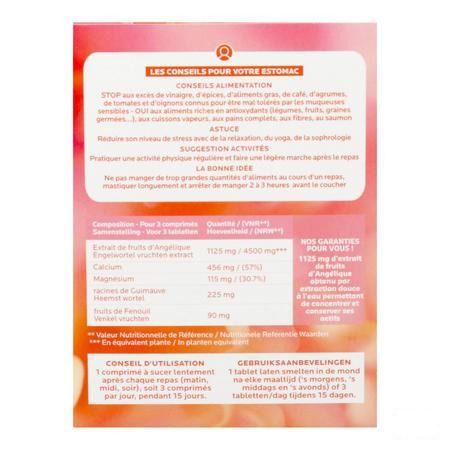 Stoma Blister Tabletten 45 Fitoform  -  Bioholistic Diffusion