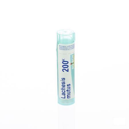 Lachesis Mutus 200K Gr 4g  -  Boiron