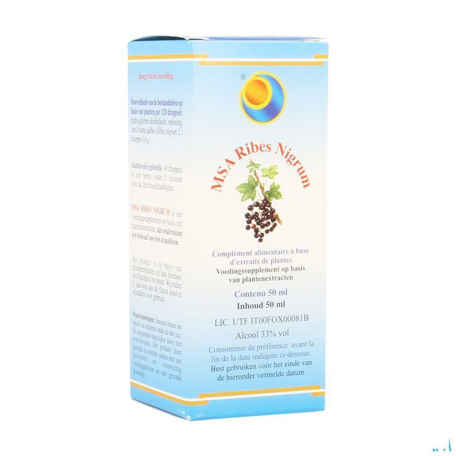 Ribes Nigrum Msa Maceraat Druppels 50 ml  -  Herboplanet