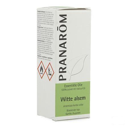 Armoise Blanche Huile Essentielle 10 ml  -  Pranarom