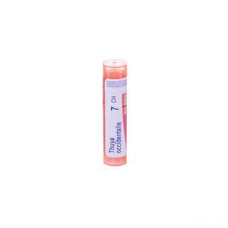 Thuya Occidentalis 7CH Gr 4g  -  Boiron