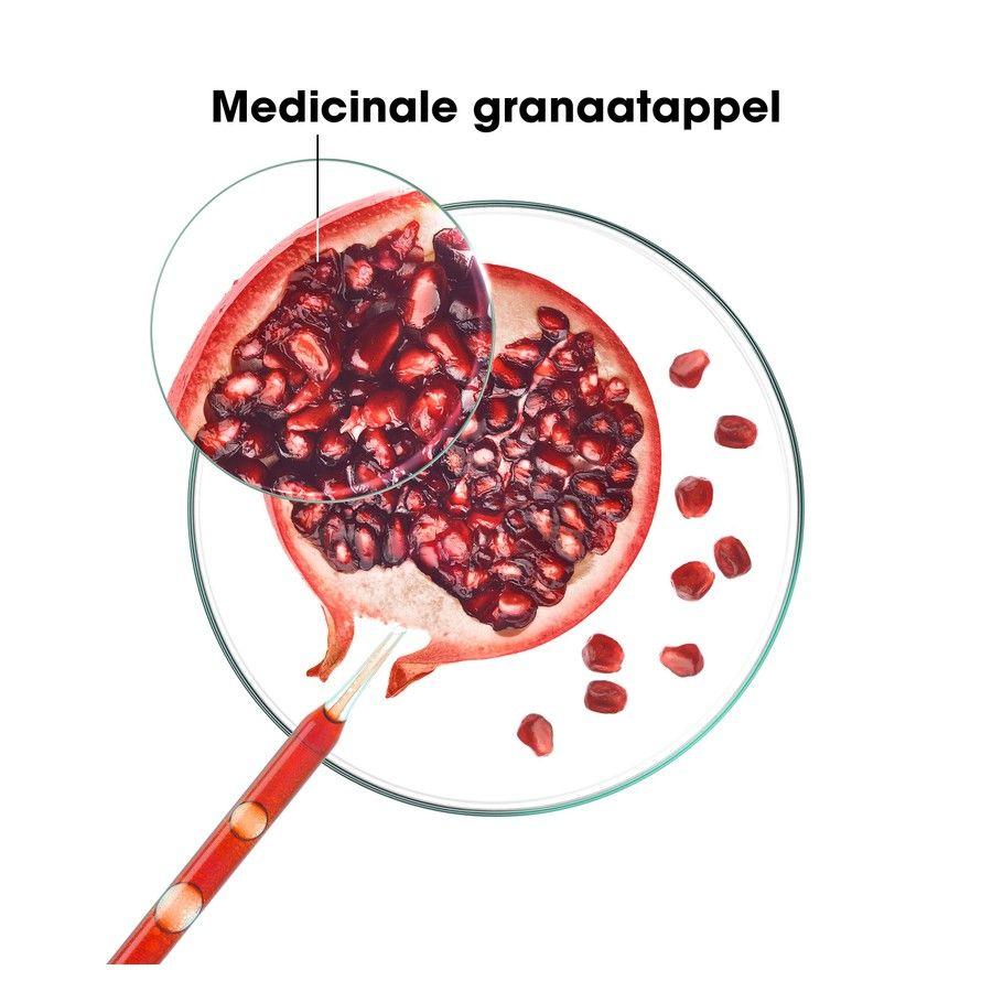 Klorane Capillaire Shampoo Granaatappel 400 ml