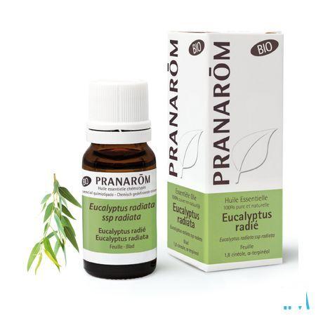 Eucalyptus Radiata Bio Huile Essentielle 10 ml  -  Pranarom