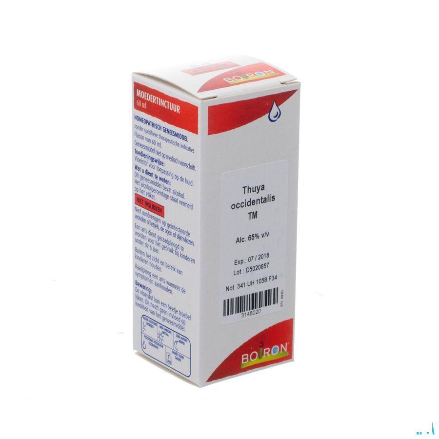 Thuya Occidentalis Tm 60 ml  -  Boiron