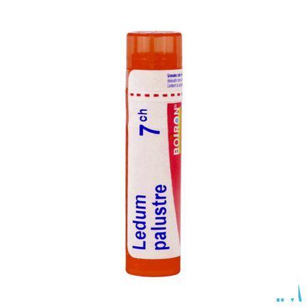 Ledum Palustre 7CH Gr 4g  -  Boiron