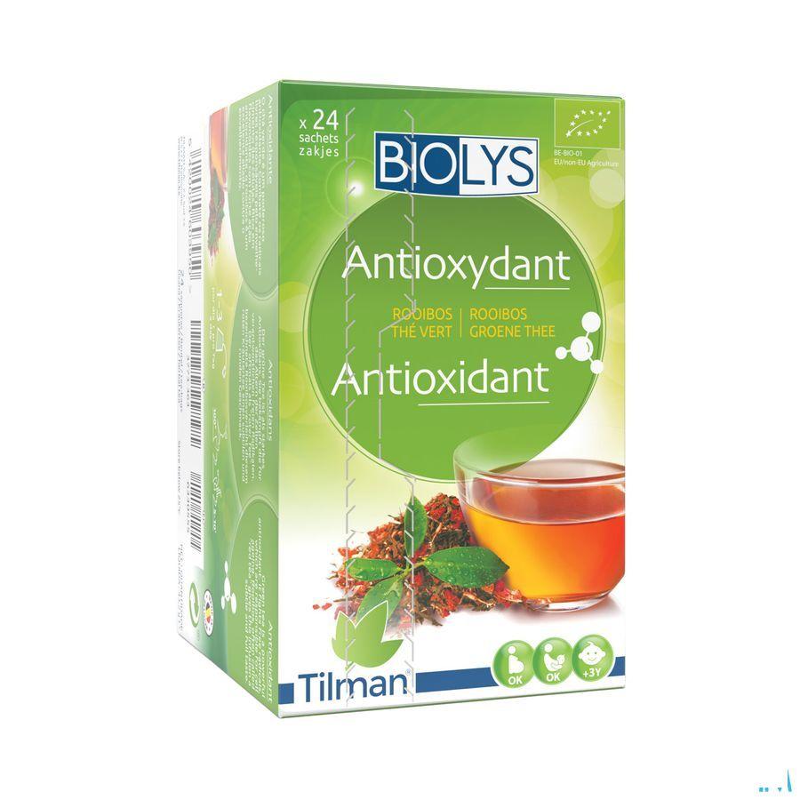 Biolys Rooibos The Vert Sachets 24  -  Tilman
