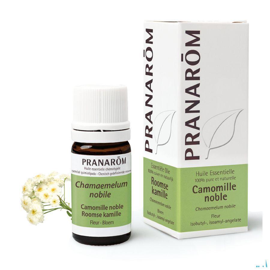 Camomille Noble Huile Essentielle 5 ml  -  Pranarom