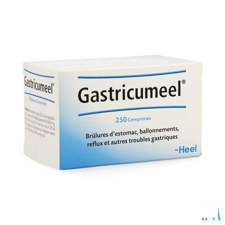 Gastricumeel Comprimes 250  -  Heel