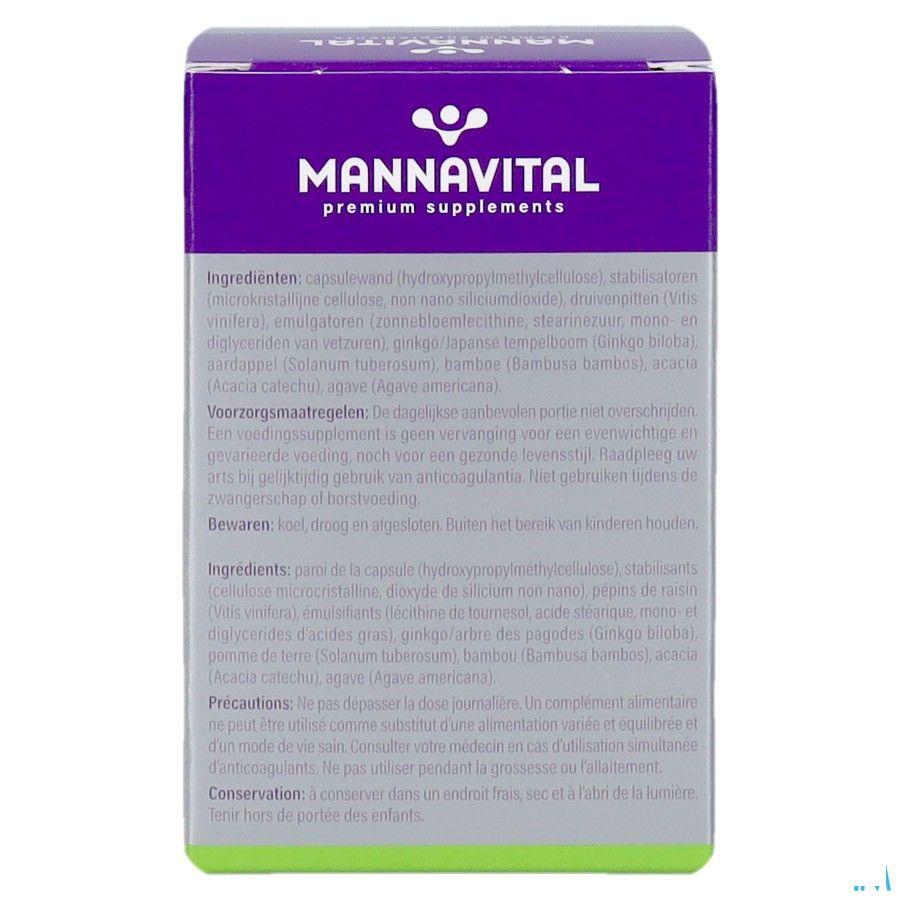 Mannavital Gingko V-caps 60  Copy