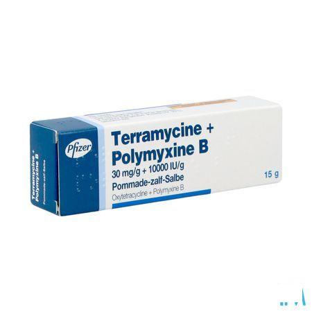 Terramycine Ung Derm 15 gr