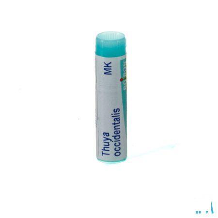 Thuya Occidentalis MK Gl  -  Boiron