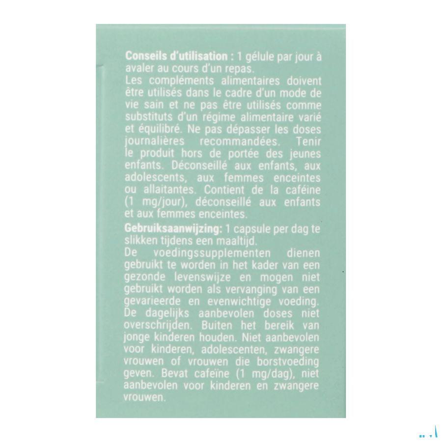 Vitrecor Caps 90  -  Densmore Laboratoire