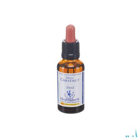 Healing Herbs Sweet Chestnut 30 ml