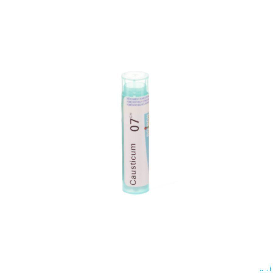 Causticum Hahnemanni 7CH Gr 4g  -  Boiron